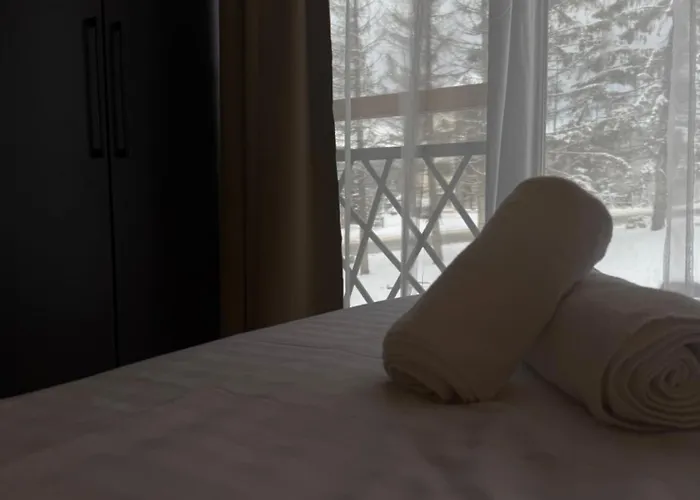 Sophie & Sarah - Hill, Διαμέρισμα Κοπαόνικ